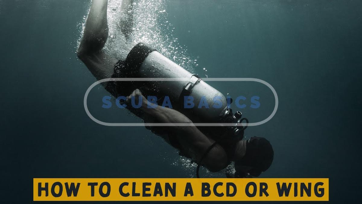 'Video thumbnail for Scuba Diving Basics: How To Clean Your BCD or Wing'