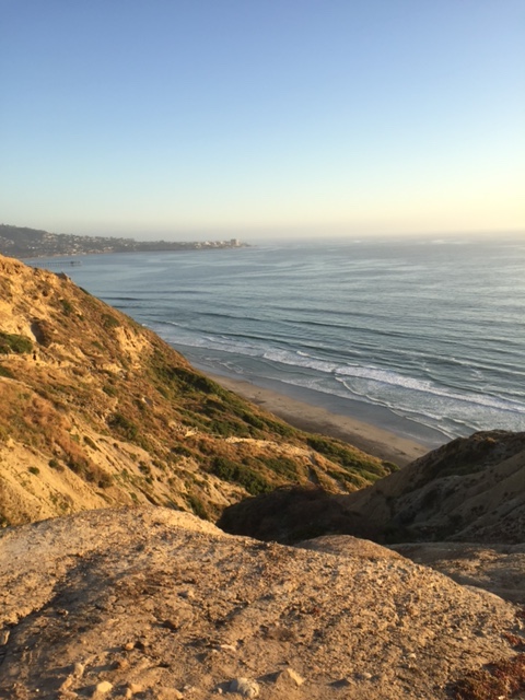 Blacks Beach Surf Spot