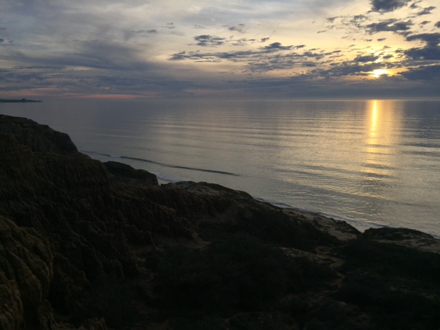 Blacks Beach Surf Spot