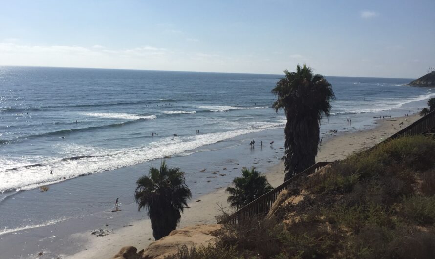Surfing in San Diego for Beginners
