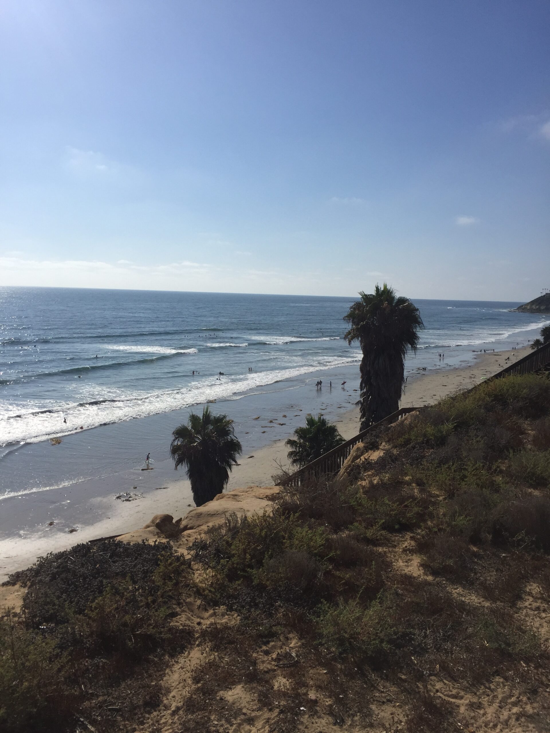 surfing in san diego for beginners