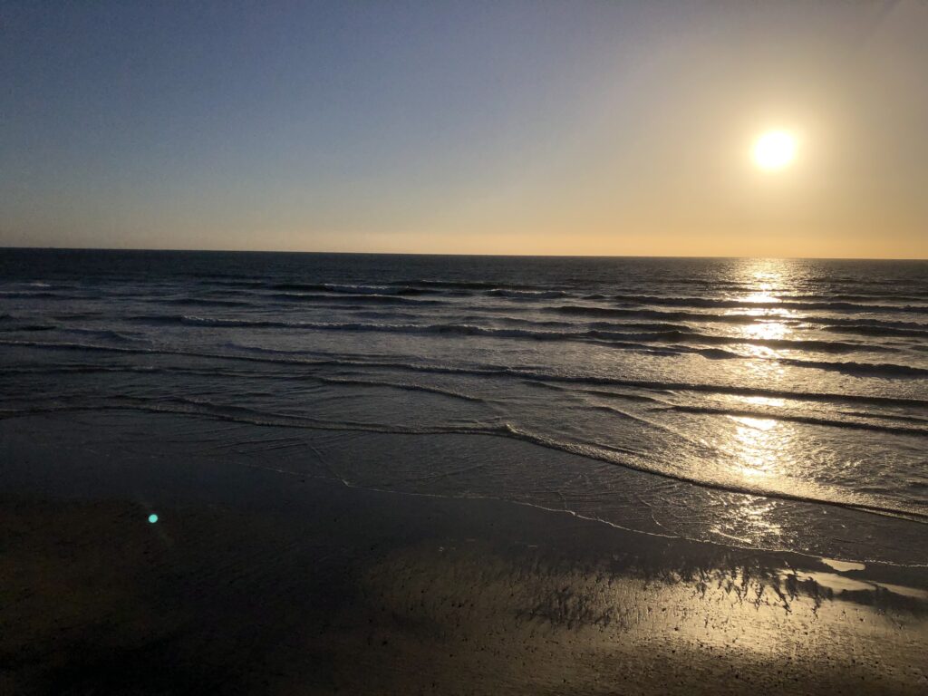 surfing in del mar