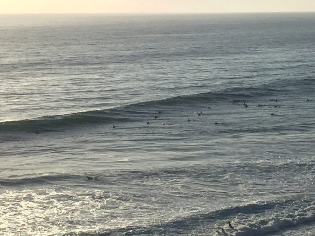 surfing encinitas