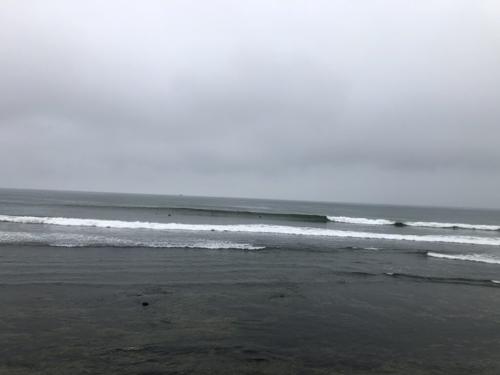 surfing gaviotas