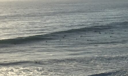 big swells san diego