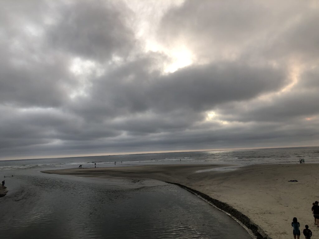 cardiff reef surf spot