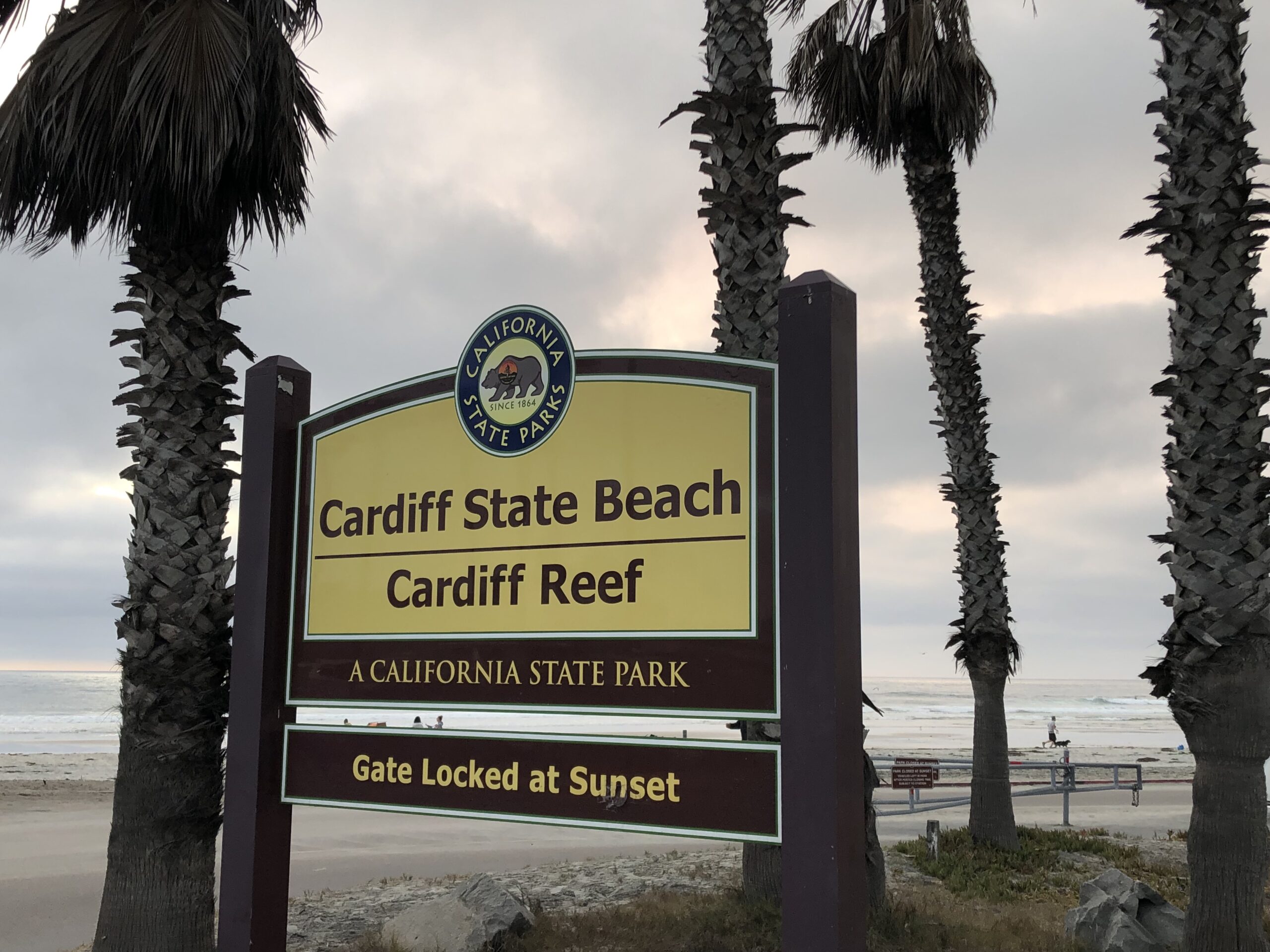 FREE LIVE Cardiff Reef Beach Surf Cameras And Cardiff Reef Surf Reports