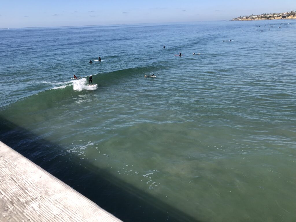 surfing crystal pier