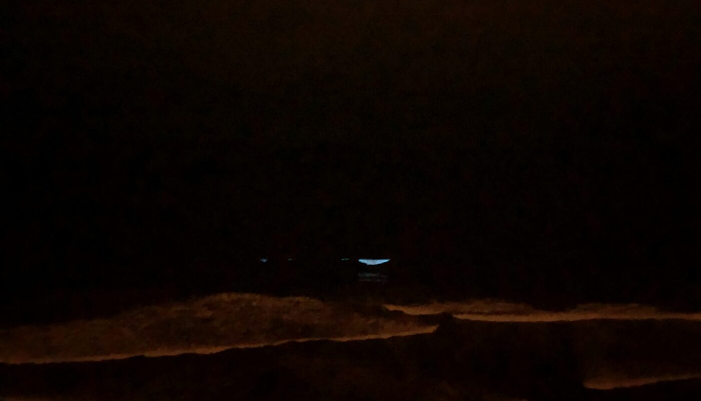 bioluminescence in san diego