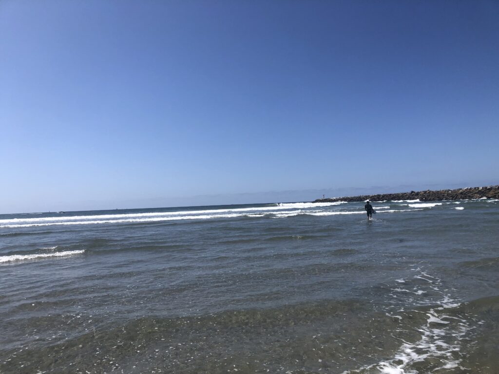 surfing avalanche jetty