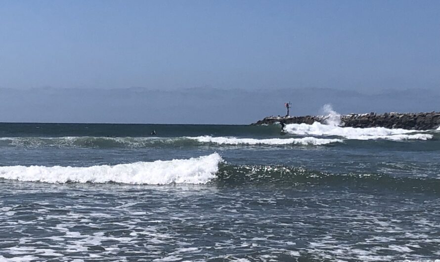 Surfing Avalanche Jetty Ocean Beach Review