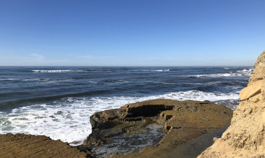 Upwelling in San Diego: A Coastal Phenomenon