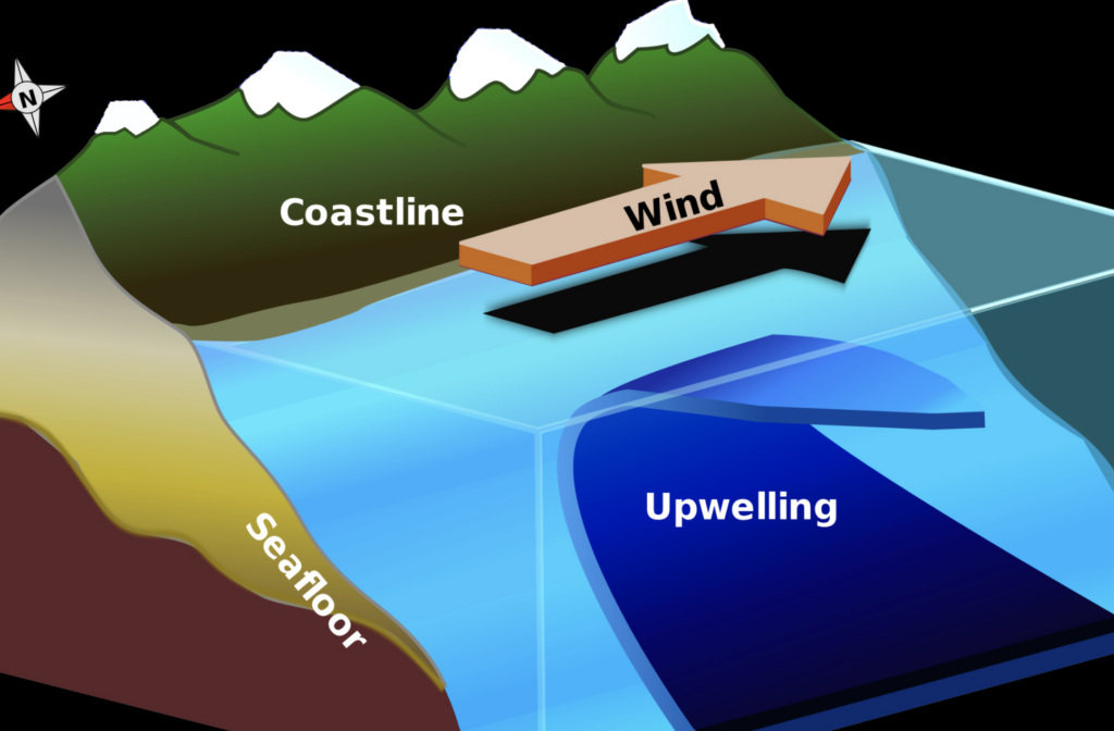 what causes upwelling