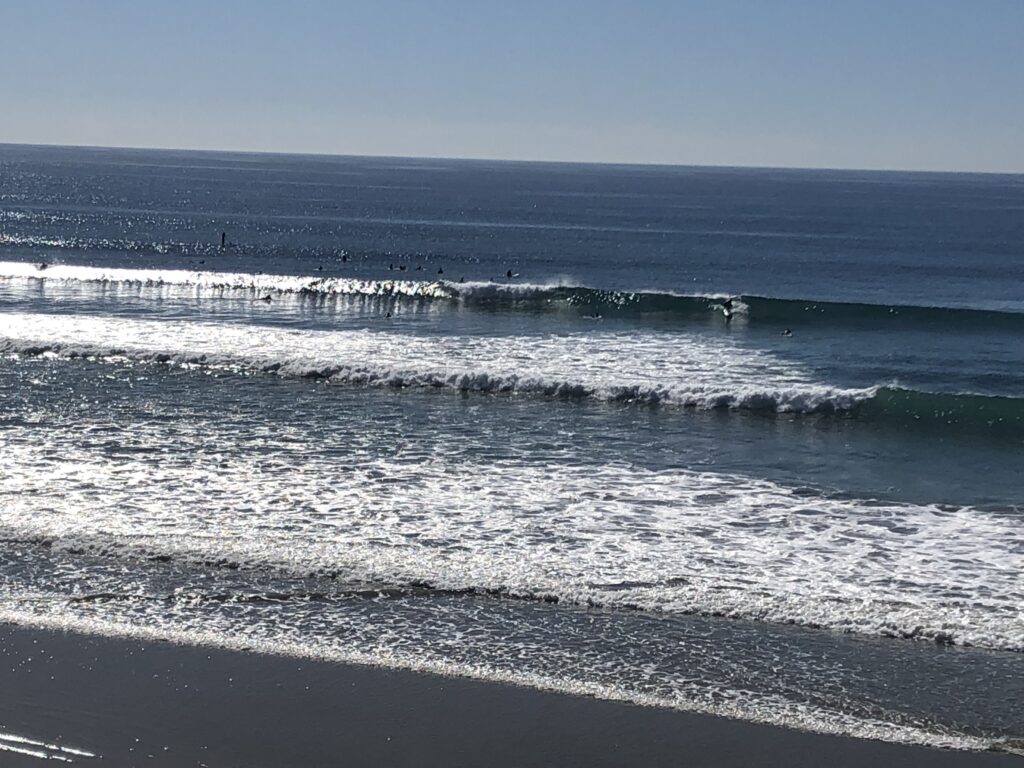 surfing grandview encinitas