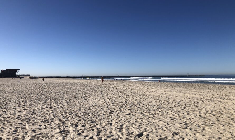 Surfing Mission Beach San Diego Review