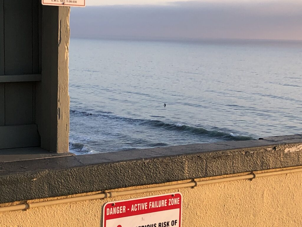 surfing stone steps