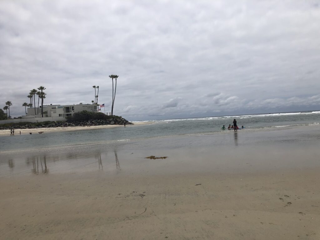 stingrays in san diego beaches