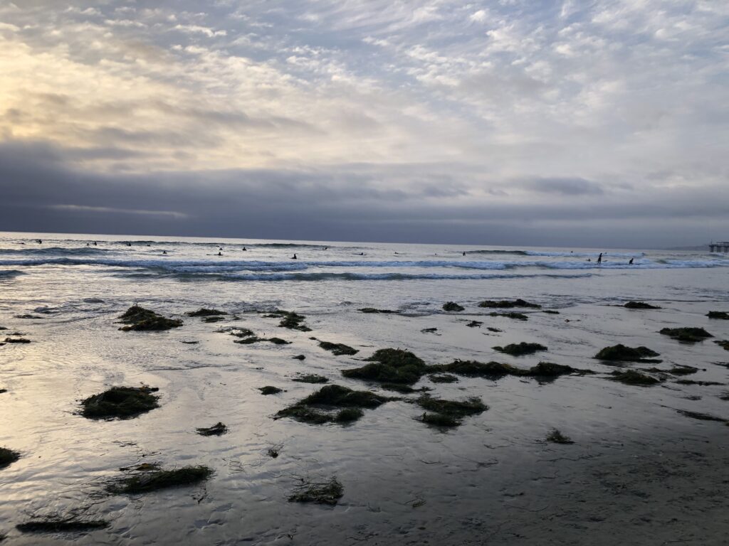 la jolla shores beach