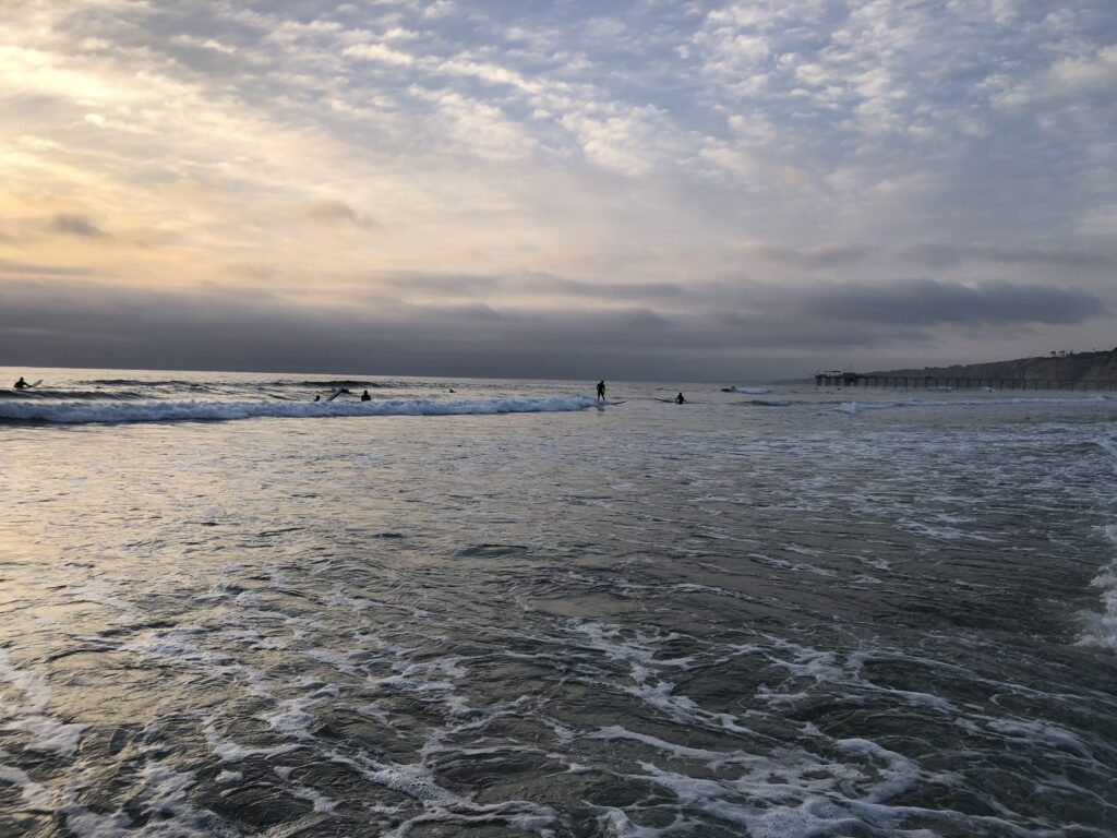 la jolla shores surf