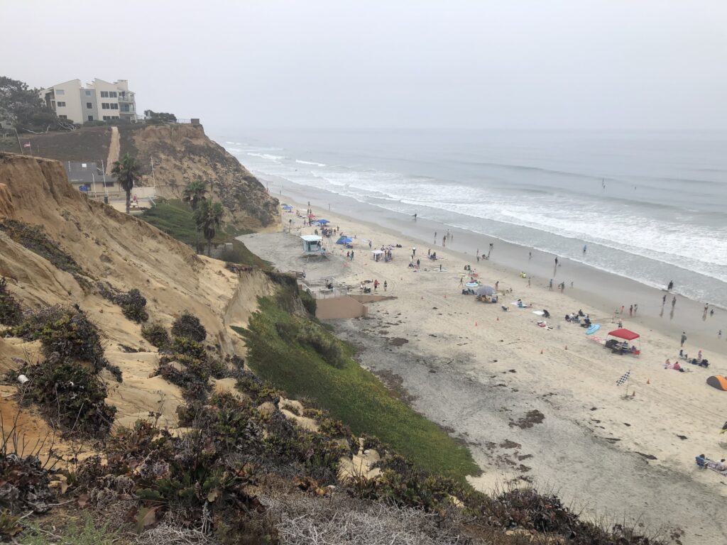 surfing fletcher cove