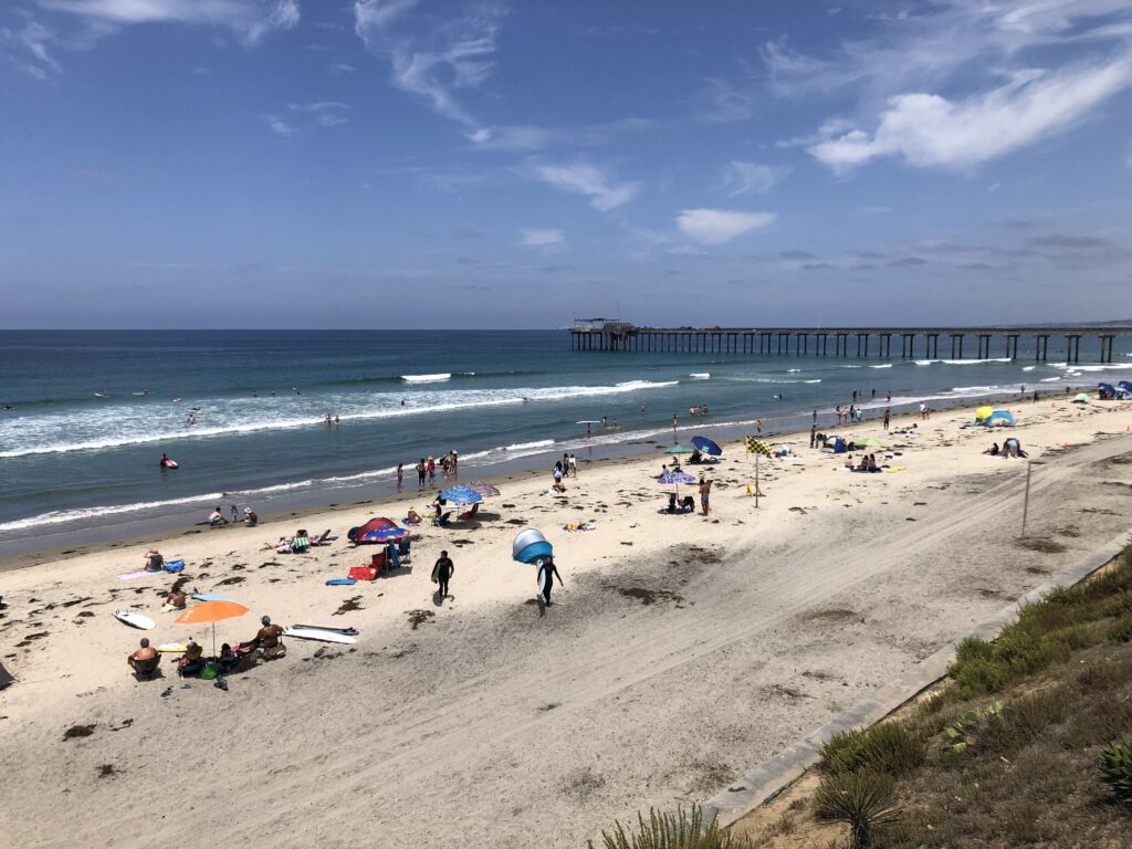 surfing scripps pier