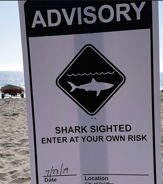 shark sightings in san diego