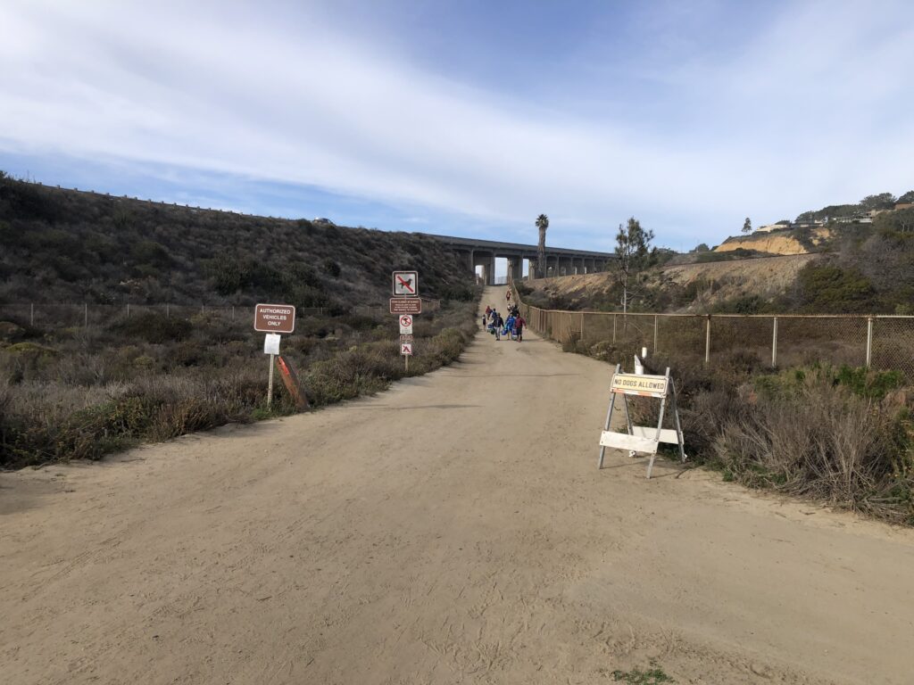 torrey pines state beach