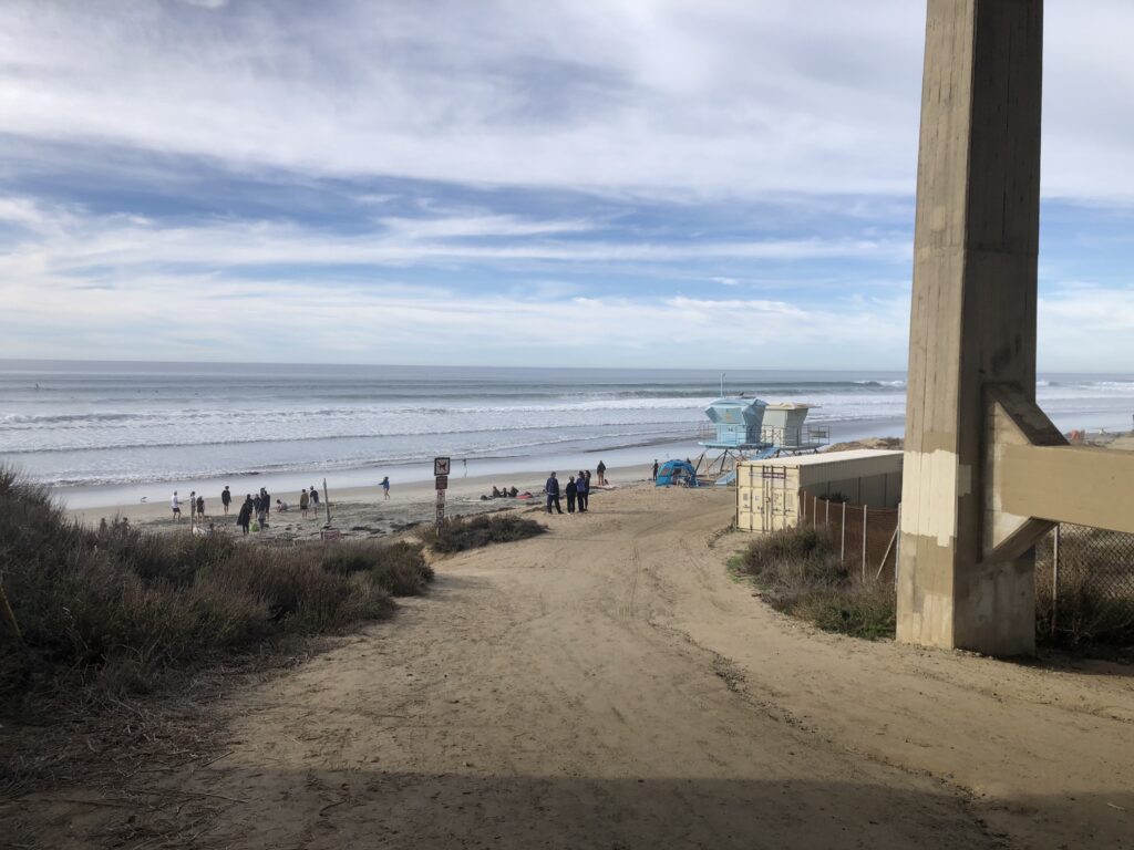 torrey pines beach