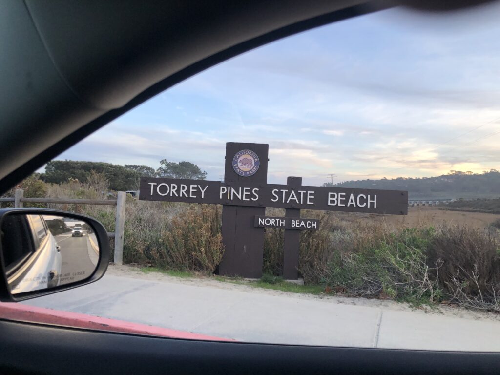 where is torrey pines state beach