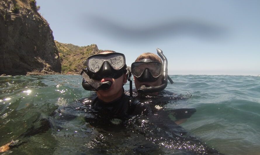 Best Places to Snorkel in San Diego