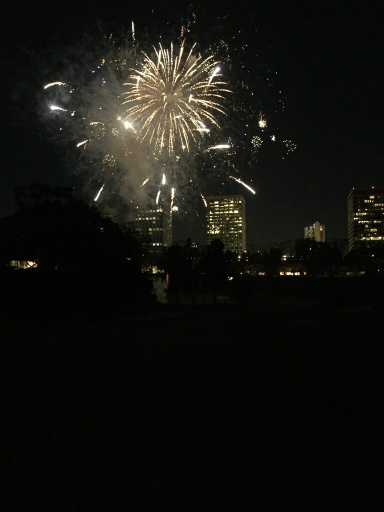 seaworld fireworks