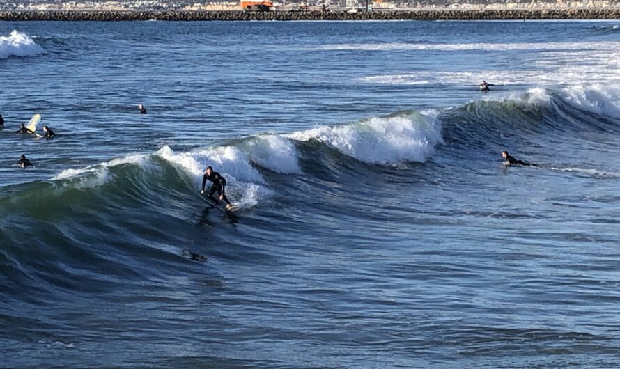Surfing in San Diego Guide