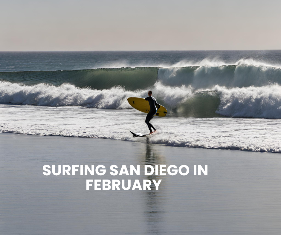 surfing san diego in february