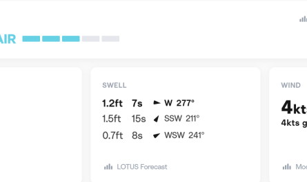 how to read surfline